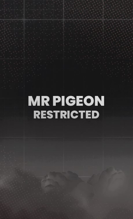 MrPigeon